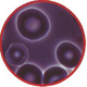 Illustration for article titled A Few Simple Vitamins Can Repair Genetic Mutation